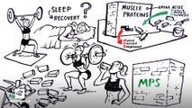 Micellar Casein Protein for Sleep Recovery | Ascent Protein