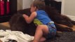 Priceless moment captured between baby and dog