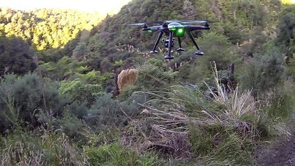 Drone gets shot down by high powered rifle