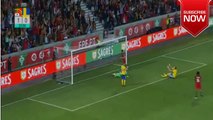 Andreas Granqvist OwnGoal - Portugal 2-0 Sweden 28-03-2017