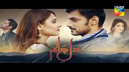 Dil e Jaanam Episode 6 PROMO - HUM TV Drama