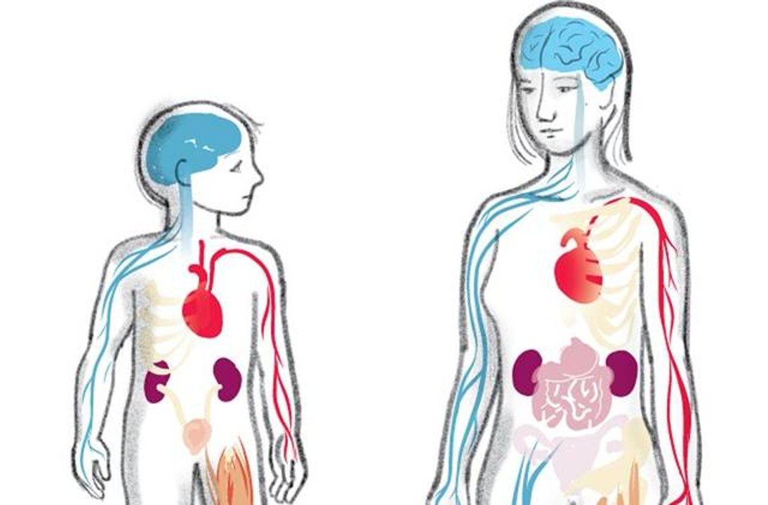 Why Is Lead Harmful?