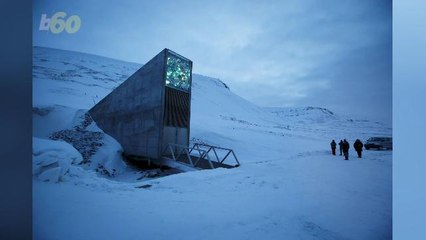 A Doomsday Vault Exists To Ease All Your Armageddon Fears