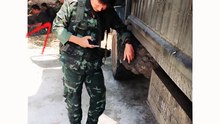 บวรศักดิ์