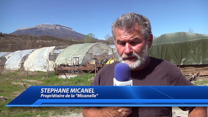 Hautes-Alpes : opération de gendarmerie mardi à la Micanelle près de Tallard. Le propriétaire très "remonté"