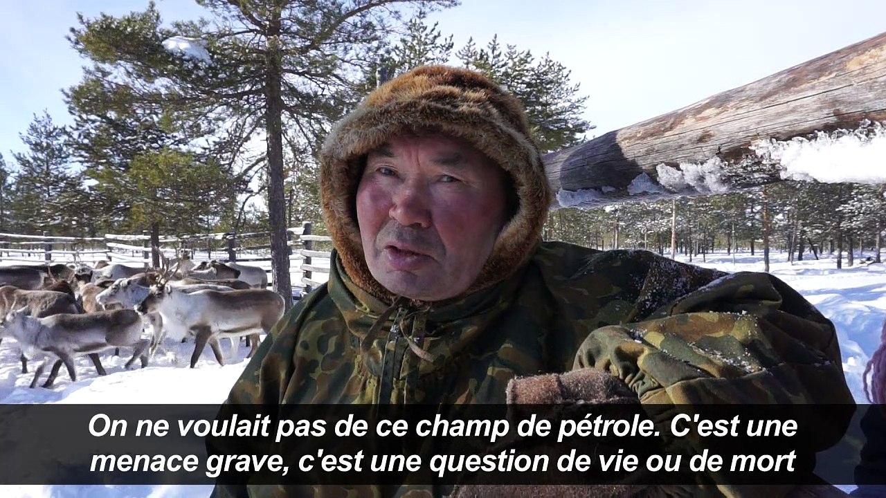 Sibérie: les éleveurs de rennes face aux groupes pétroliers