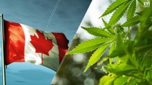 Recreational Marijuana Set To Be Approved In Canada