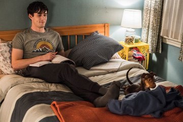 MOVIé!![[ＨＤ™]] ~A Dog's Way Home (2019) FullMovie Watch online