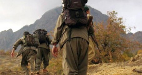 Joost Hiltermann: DEAŞ'tan Sonra PKK Tehdit Olacak