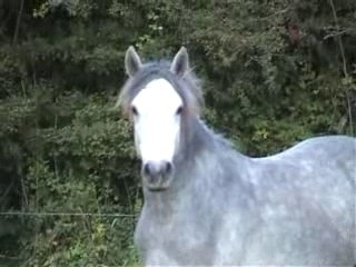 Riverboy, Par Nicholas et Kalysie du Mesnil