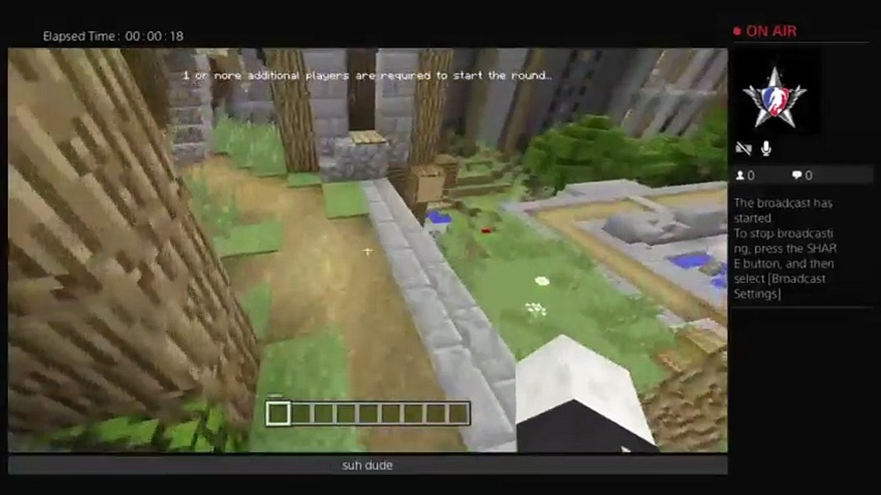 Minecraft (25)