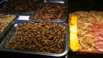 Eat Insects & Bugs in China (Lijiang) أكل الحشرات والبق في الصين