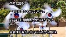 韓国 崩壊 最新情報 知韓派外交官の韓コラムに『韓国が”予想を超えた反応”を示し』日本側が仰天。ここまでポジティブだとは
