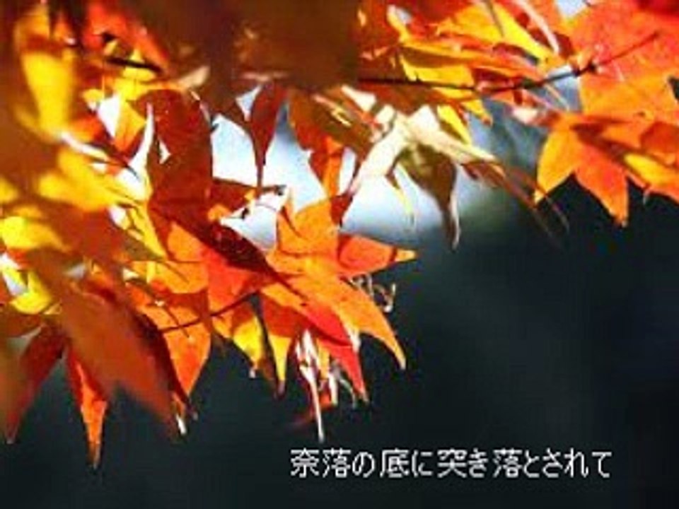 最後の恋 I'll Never Fall In Love Again (トム・ジョーンズ To...