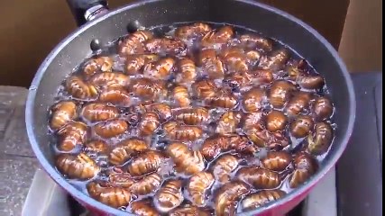ゴキブリを食べる女子大生！ / Japanese Girl Eating Cockroach!