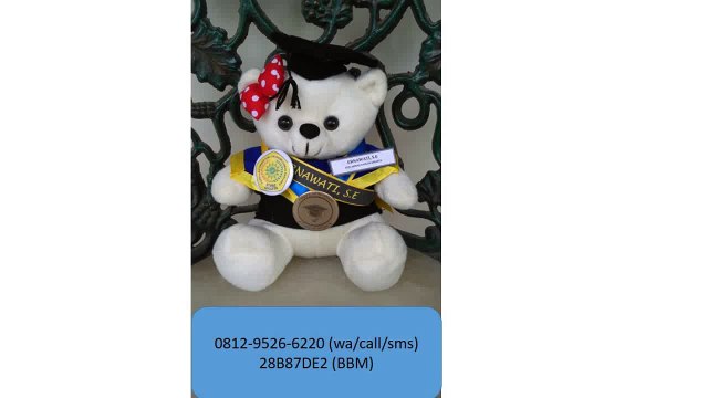 0812-9526-6220 - Boneka wisuda Semarang - Grosir Boneka wisuda - Pusat boneka wisuda