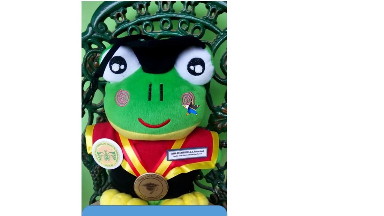 0812-9526-6220 - Distributor Boneka Wisuda