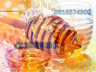 0816574300 (Indosat ) Distributor Madu Anak Siak