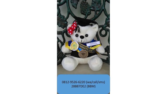 0812-9526-6220 - Boneka wisuda Palembang - Grosir Boneka wisuda - Pusat boneka wisuda
