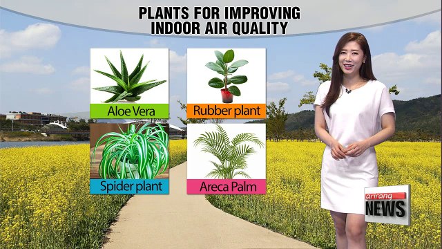 Milder temperatures under partly sunny skies