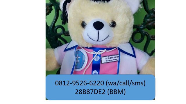 0812-9526-6220 - Jual Boneka Wisuda BSI | Boneka wisuda Jakarta | Grosir Boneka Wisuda
