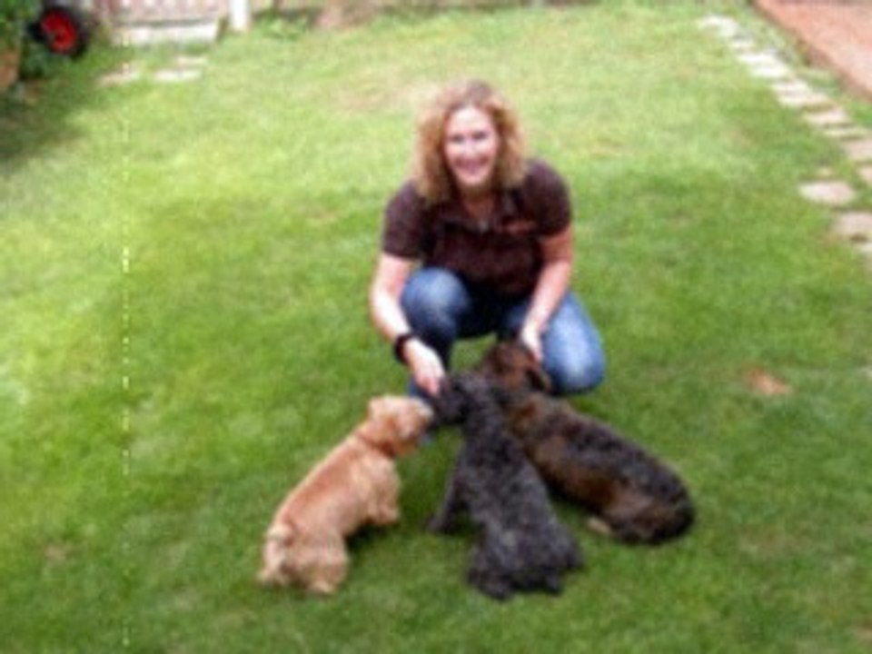 how to start a pet health insurance company