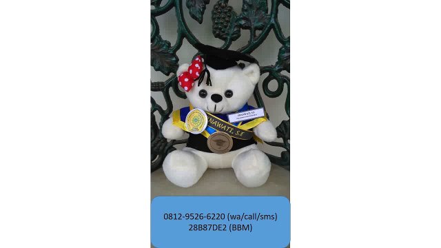 0812-9526-6220 - Boneka wisuda Serang - Grosir Boneka wisuda - Pusat boneka wisuda