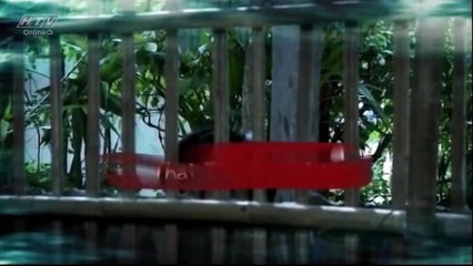 Hoa Xương Rồng - Tập 11 - Phim Tình Cảm Việt Nam Đặc Sắc Hay Nhất 2017