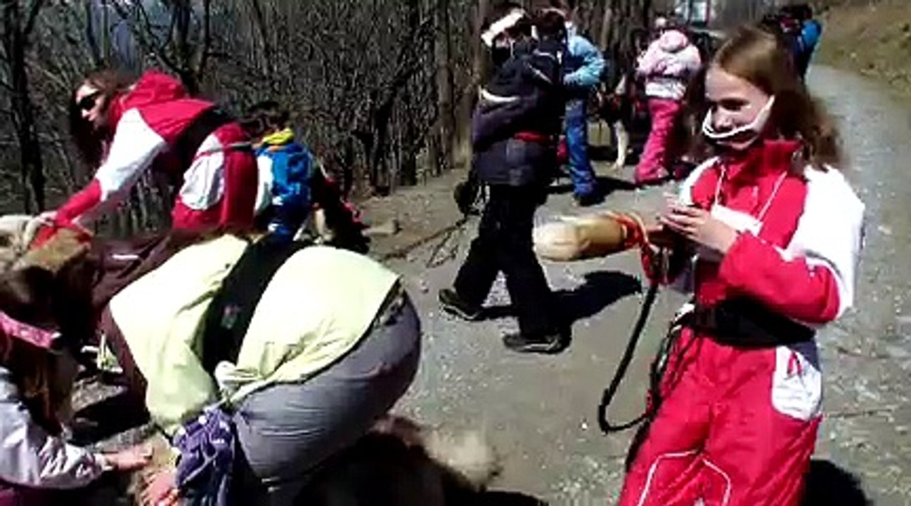 WEB_0487