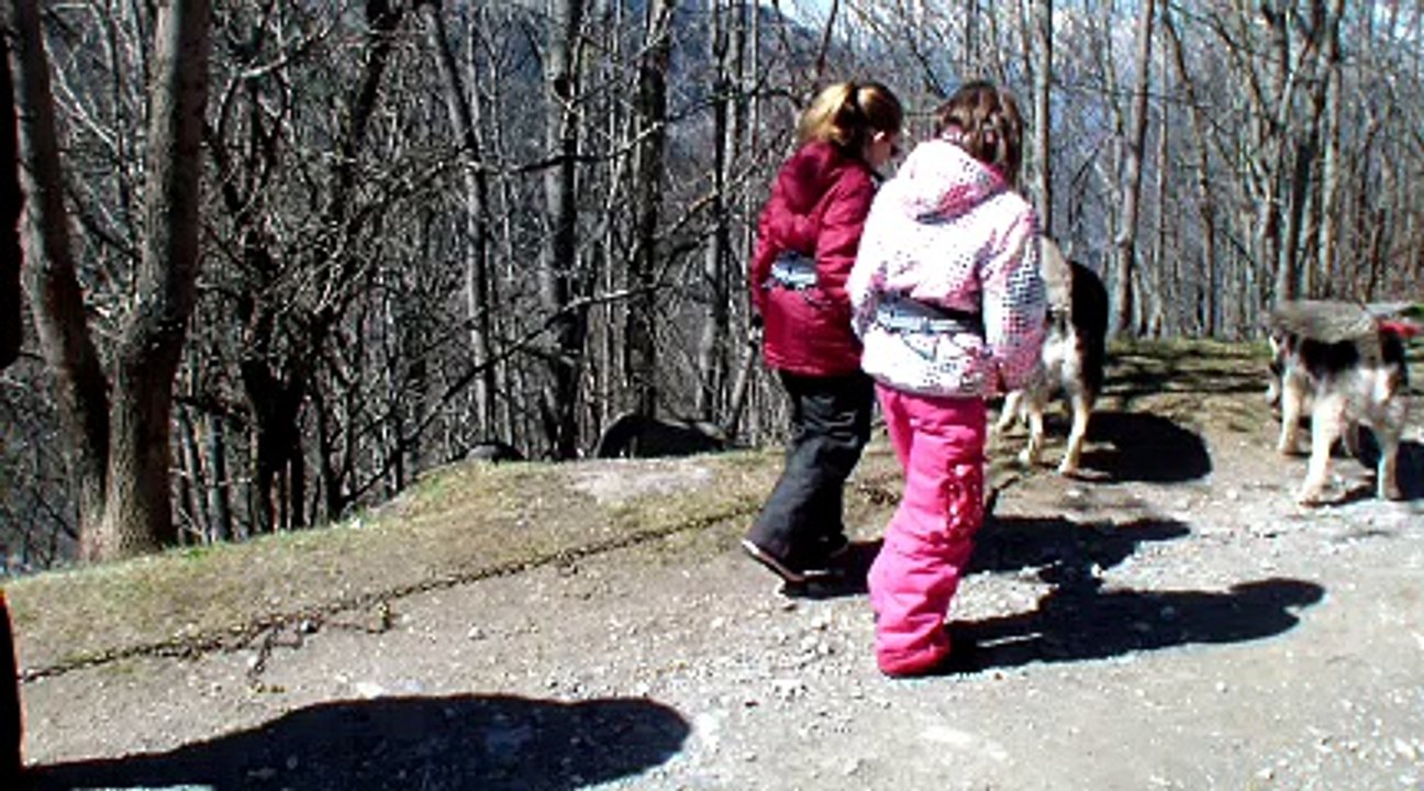WEB_0489