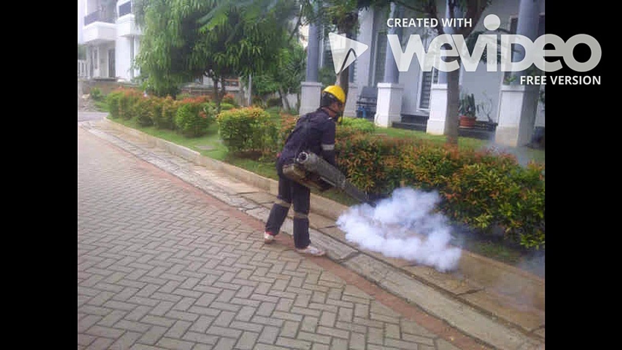 Cara Membasmi Hama