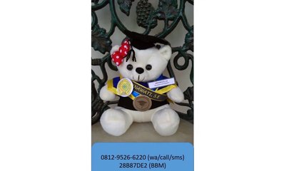 0812-9526-6220 - Boneka wisuda Sukabumi - Grosir Boneka wisuda - Pusat boneka wisuda