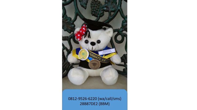 0812-9526-6220 - Boneka wisuda Jakarta - Grosir Boneka wisuda - Pusat boneka wisuda