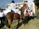 Horse Dancing On Dhol Bhangra With owner