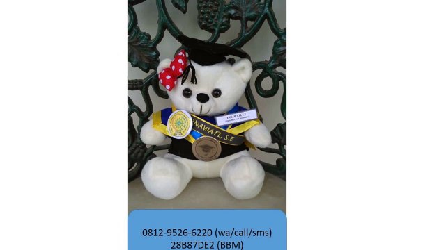 0812-9526-6220 - Boneka wisuda Pontianak - Grosir Boneka wisuda - Pusat boneka wisuda