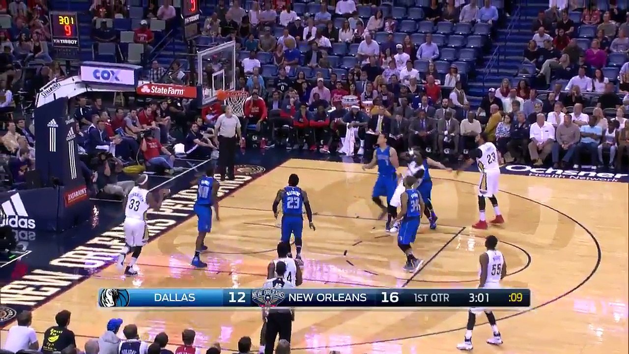 Deux Pelicans pur un vol plané dans le public !