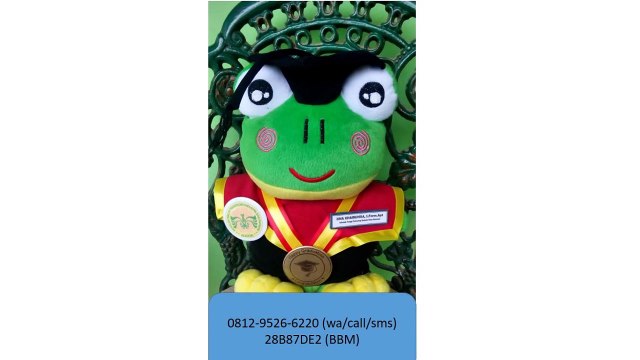 0812-9526-6220 - Boneka wisuda Kupang - Grosir Boneka wisuda - Pusat boneka wisuda