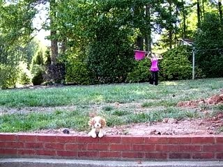 Color Guard-Nobody's Perfect