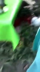 Shocking video of Strawberry getting spray painted to make it look fresh