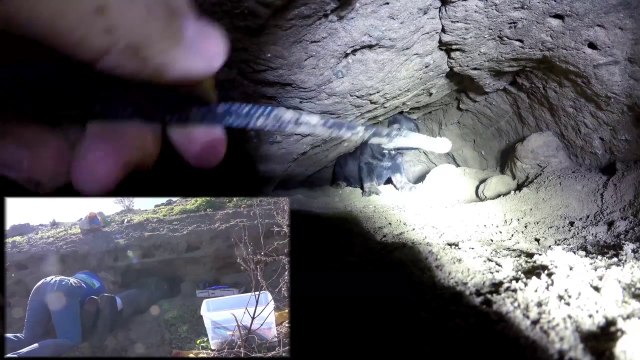 Sauvetage de chiots enterrés vivant 5 mètres sous-terre !!