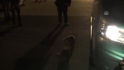 Minibüsün Yedek Lastiğinden Uyuşturucu Çıktı