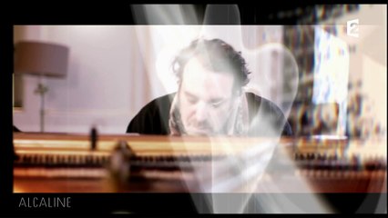 Alcaline, Le Sujet du 29/03 - Jarvis Cocker et Chilly Gonzales