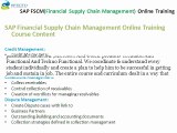 SAP Financial Supply Chain Management (fscm)Online Training