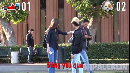 Cuộc chiến bất ngờ, siêu xe thua cún nhỏ