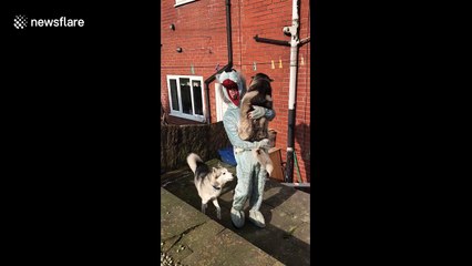 Man hugs dogs while dressed as a dog