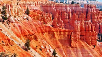 Grand Canyon National Park Travel Photography