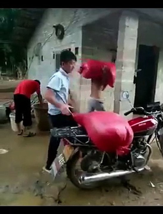 funny video clip