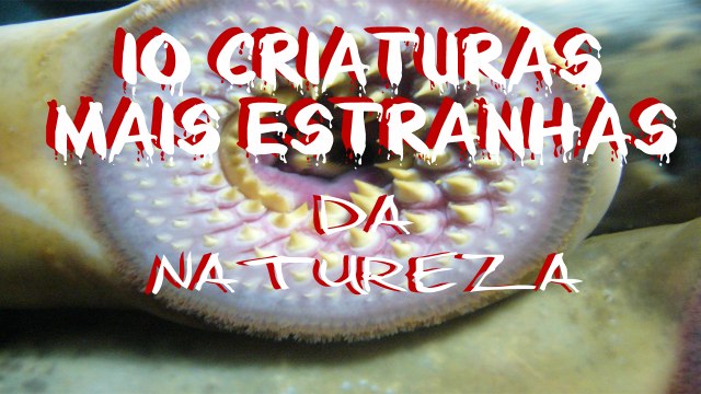 10 CRIATURAS MAIS ESTRANHAS DA NATUREZA