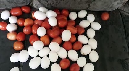 Journalists Protest against 7news