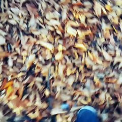 Babol,Mazandaran,Iran